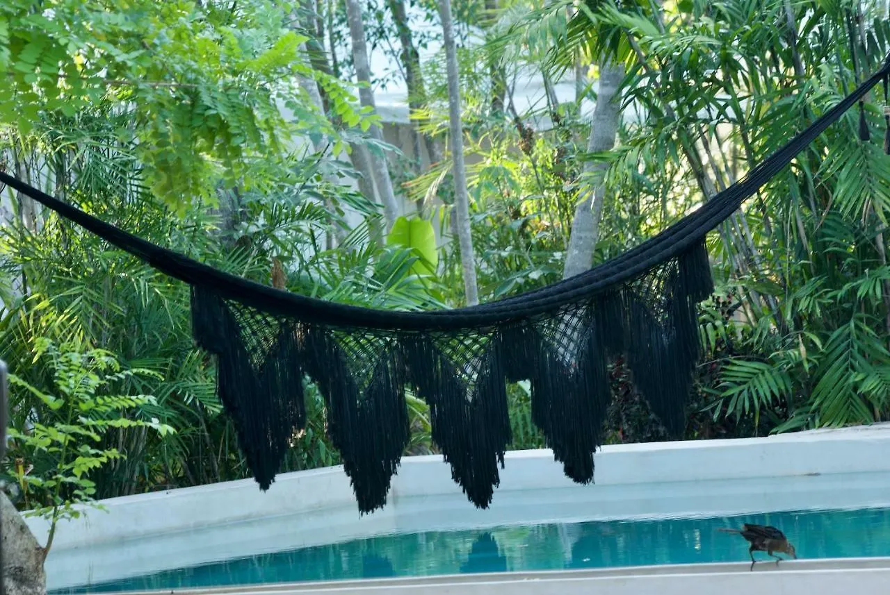 Appartement Huaya Camp à Playa del Carmen
