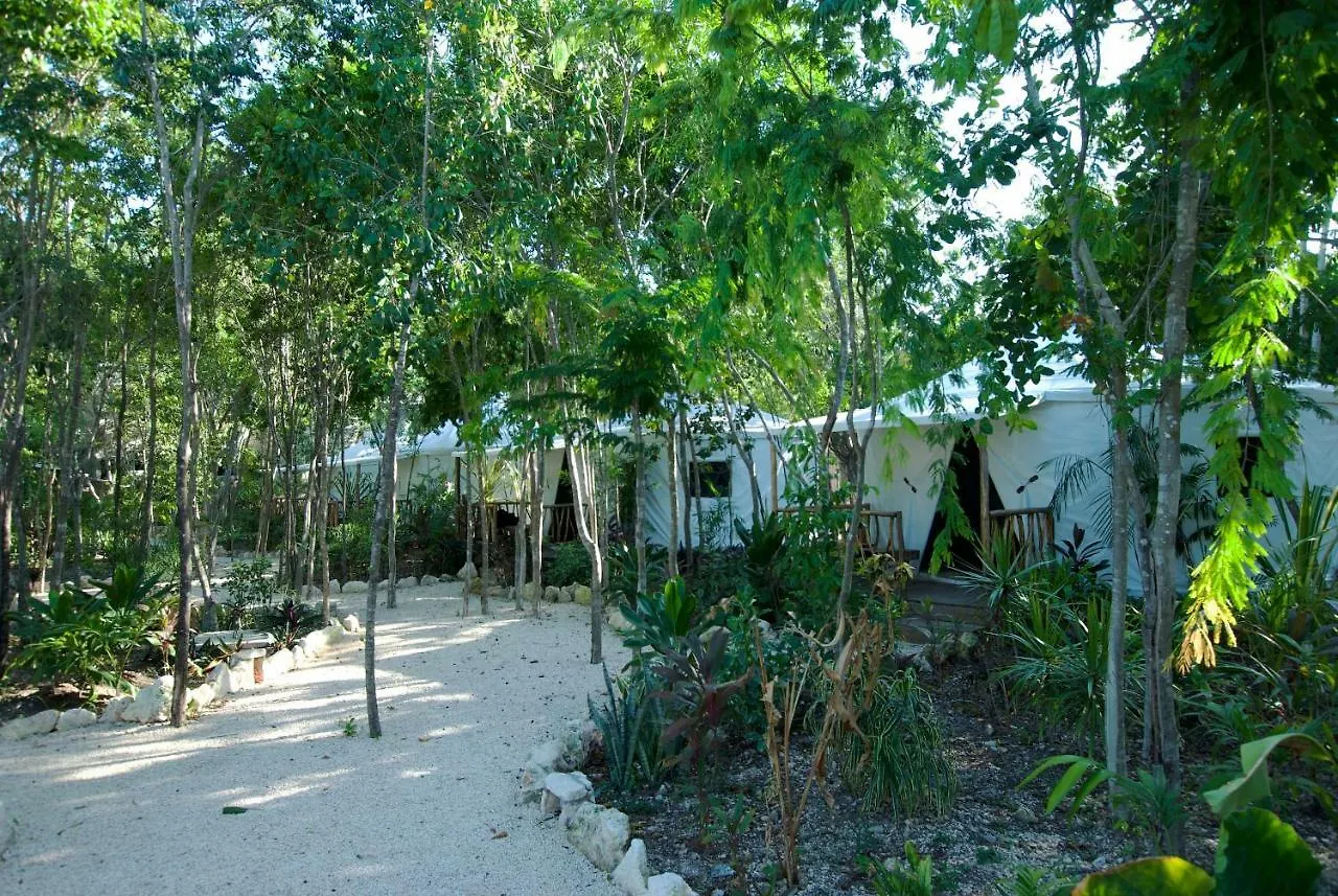 Appartement Huaya Camp à Playa del Carmen