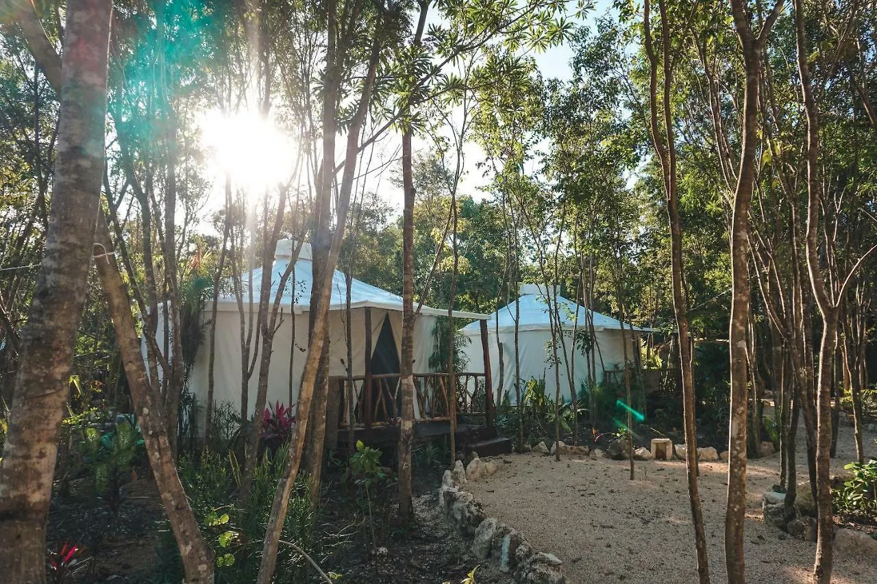 Huaya Camp Appartement Playa del Carmen Mexico
